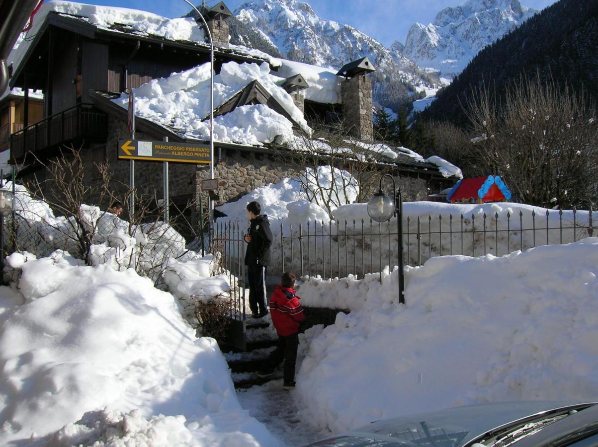 Pineta