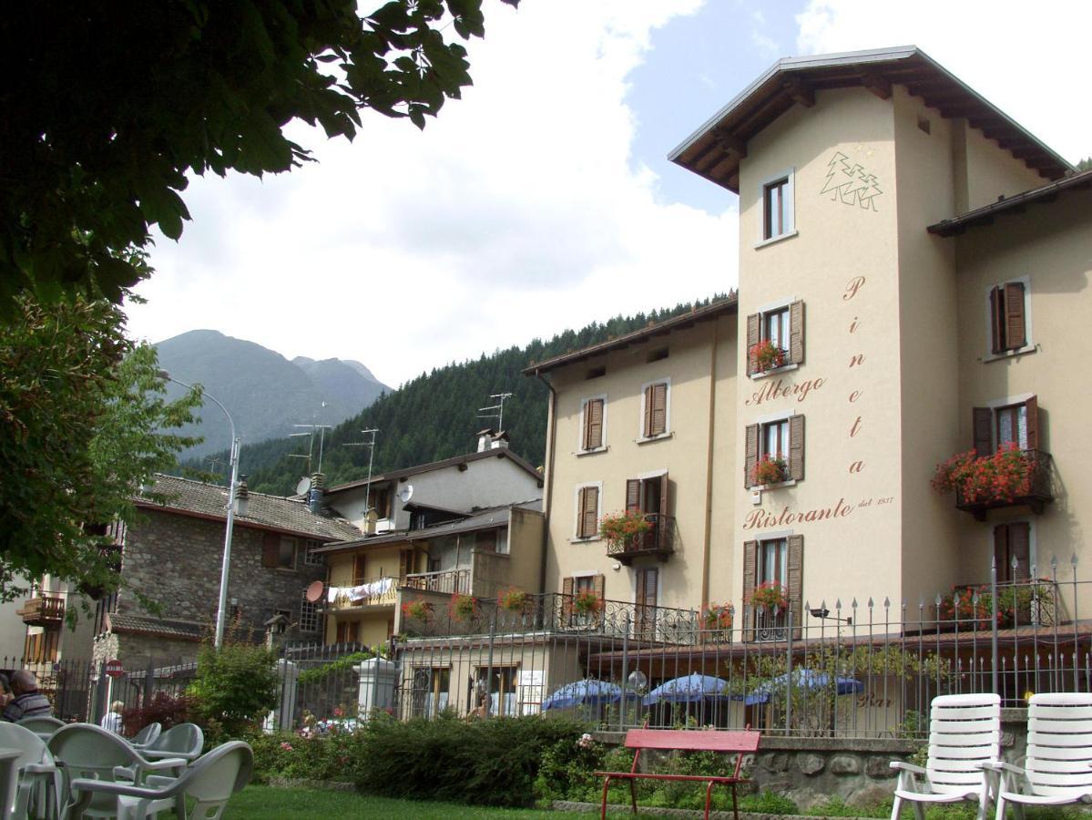 Hotel Pineta
